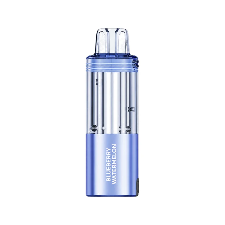 Switch Pro Pod — Blueberry Watermelon